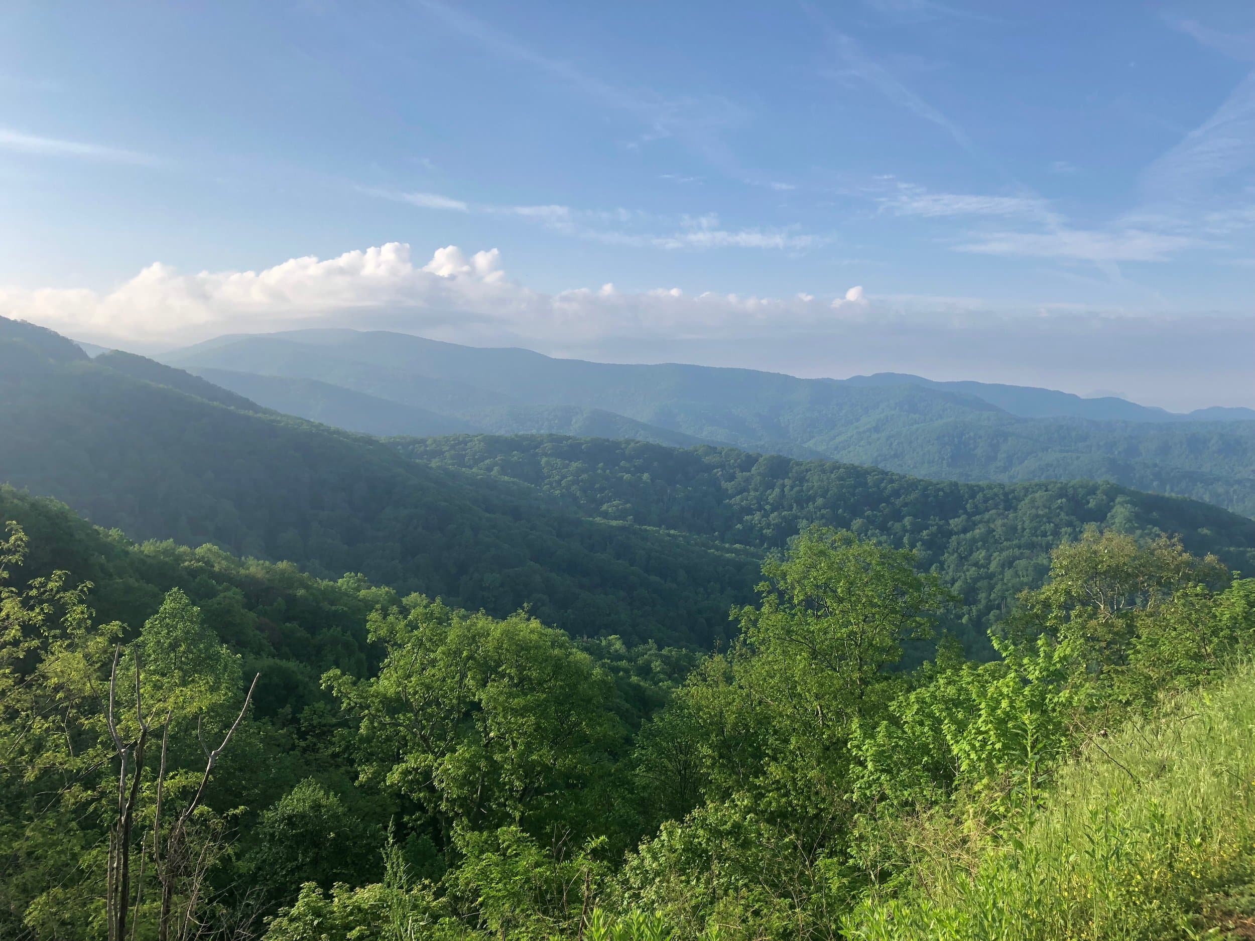 One Woman's Vista 300